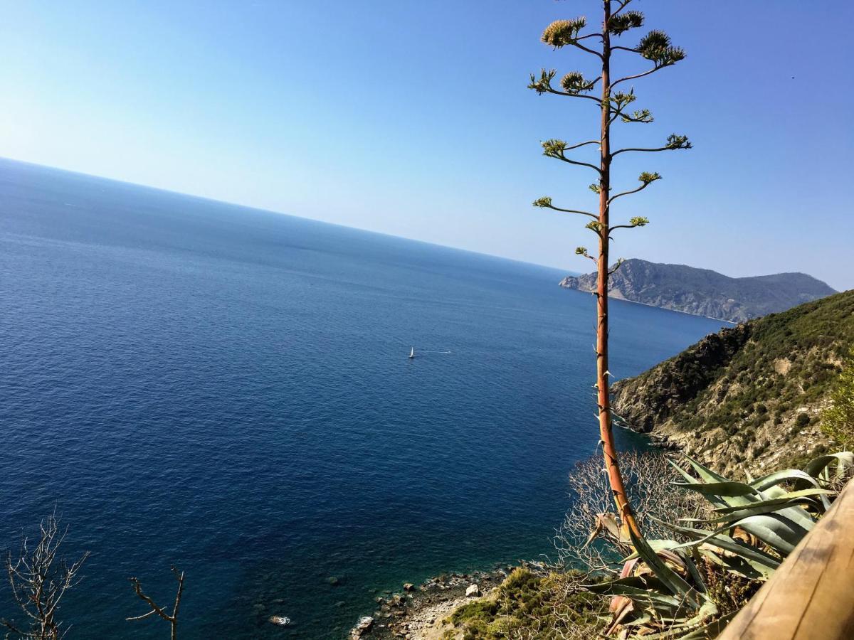 Cavallotti 21 Λα Σπέτσια Εξωτερικό φωτογραφία